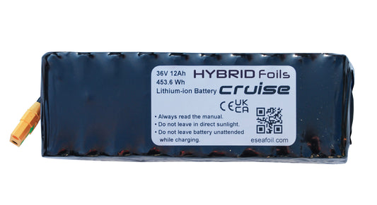 Hybrid Foils cruise | 36V Additional Battery